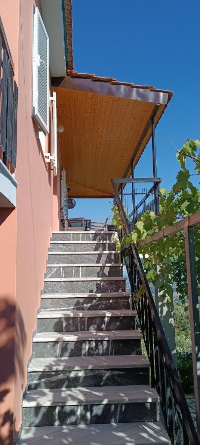 House In Zaloggo Villa Preveza Eksteriør billede